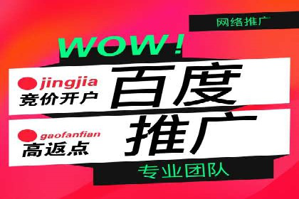 百度推广代运营公司成功案例：提升品牌曝光率